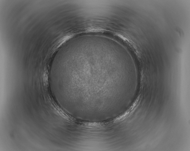 X0000112181401200908071316