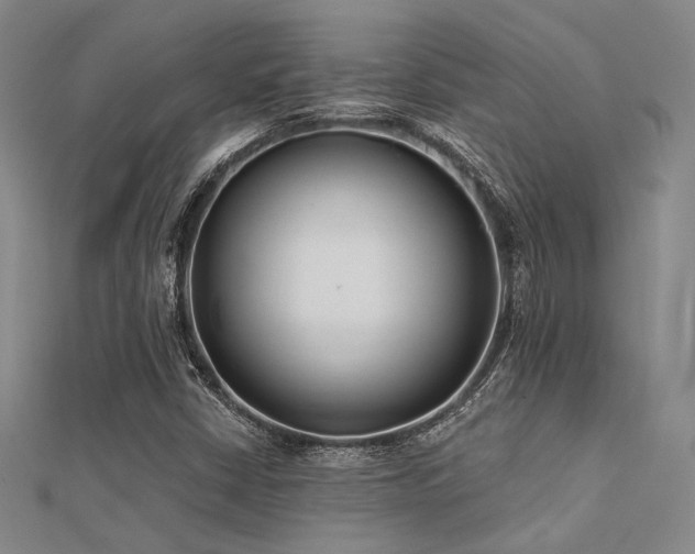 X0000112181402200908071316