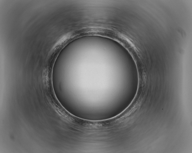 X0000112181403200908071316