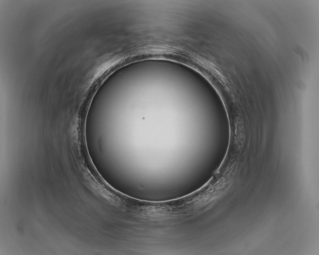 X0000112181404200908071316