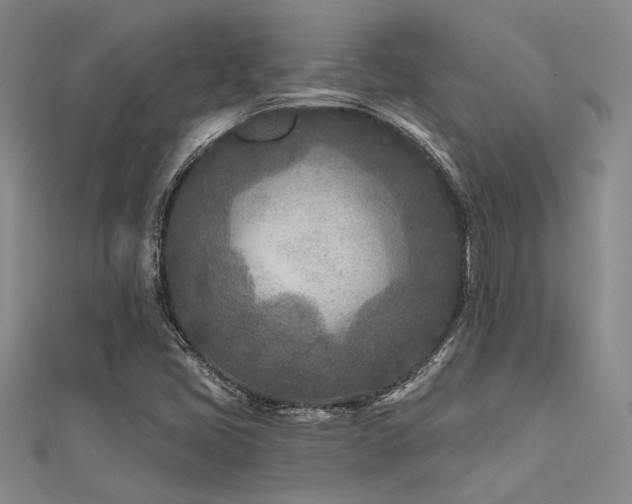 X0000112181405200908071316