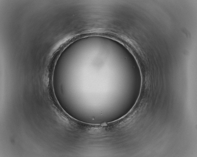 X0000112181406200908071316