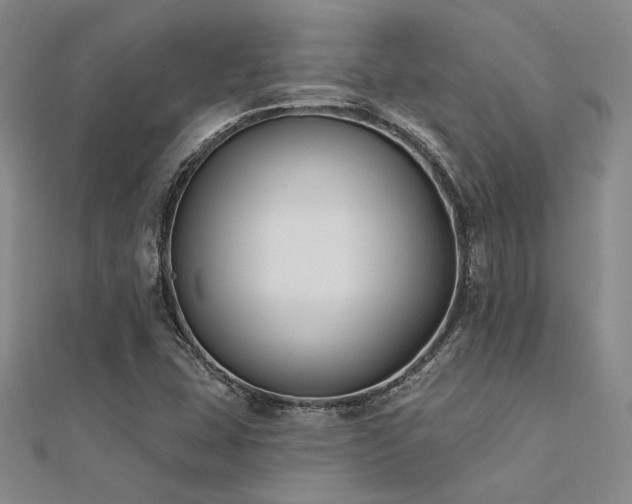 X0000112181407200908071316