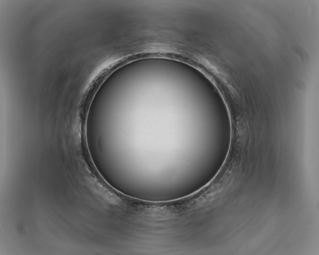 X0000112181408200908071317