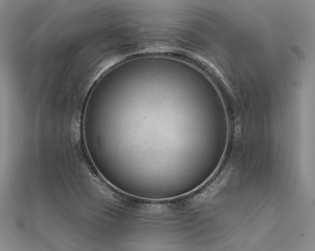 X0000112181409200908071317