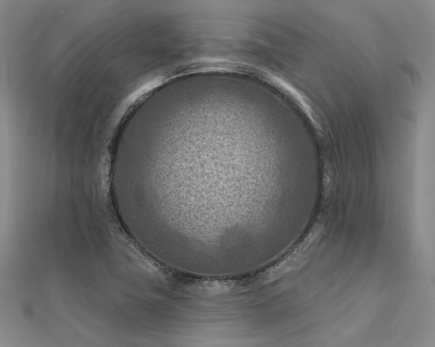 X0000112181411200908071317