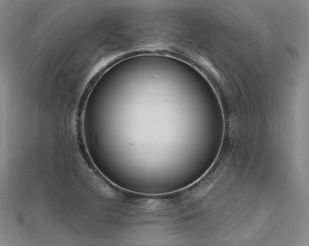 X0000112181412200908071317