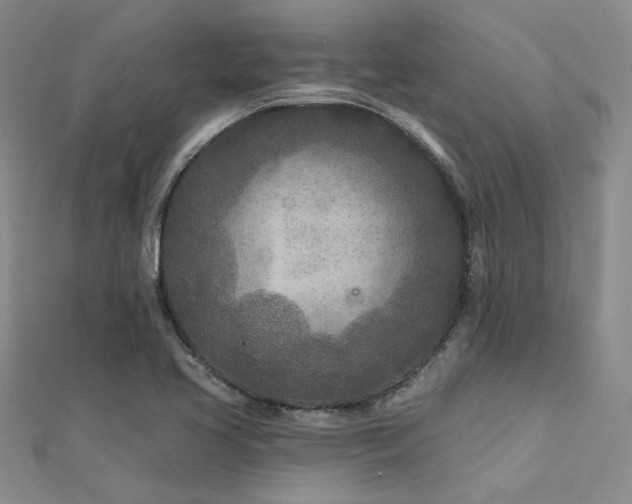 X0000112181413200908071317