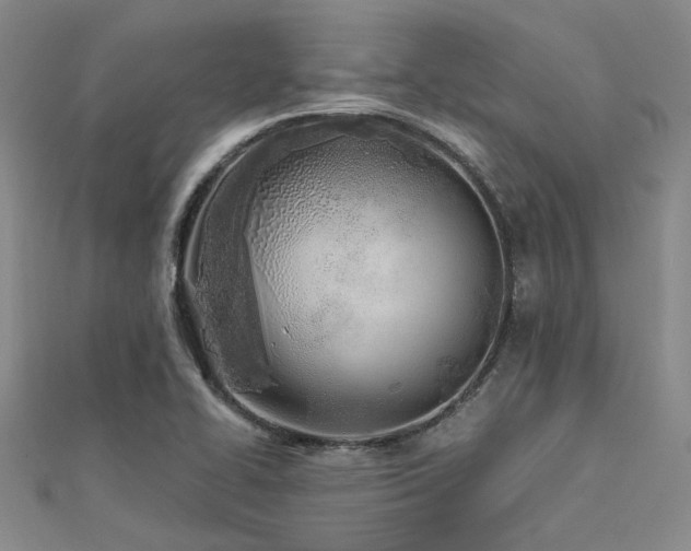 X0000112181414200908071317