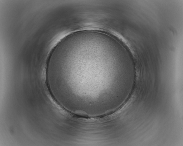 X0000112181415200908071317