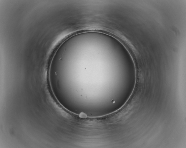 X0000112181416200908071317