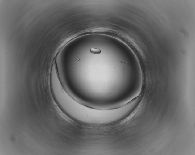 X0000112181417200908071317