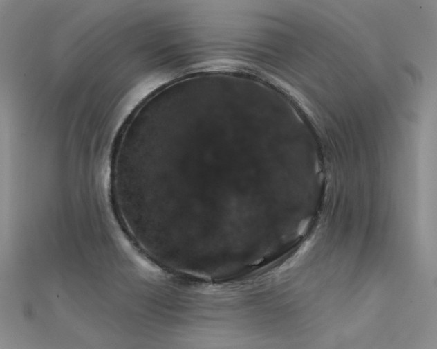 X0000112181418200908071317