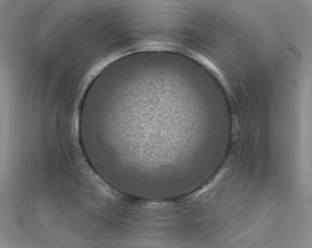 X0000112181419200908071317