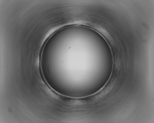 X0000112181420200908071317