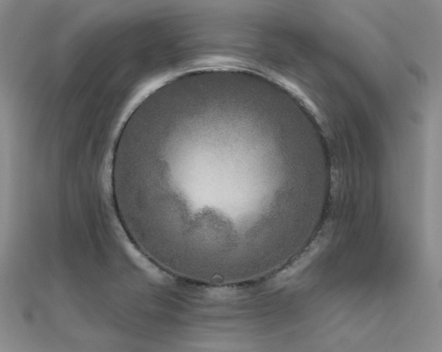 X0000112181421200908071317