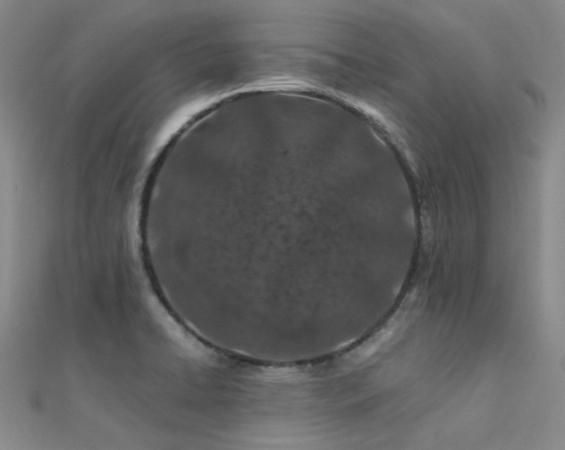 X0000112181422200908071317