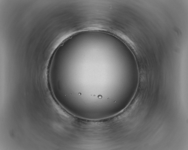 X0000112181423200908071317