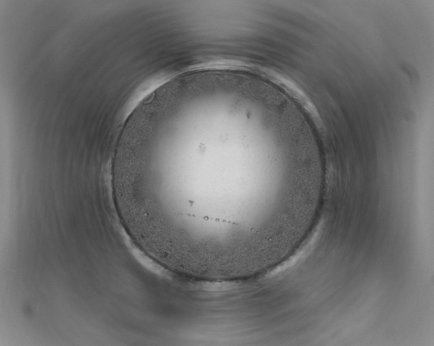 X0000112181425200908071317