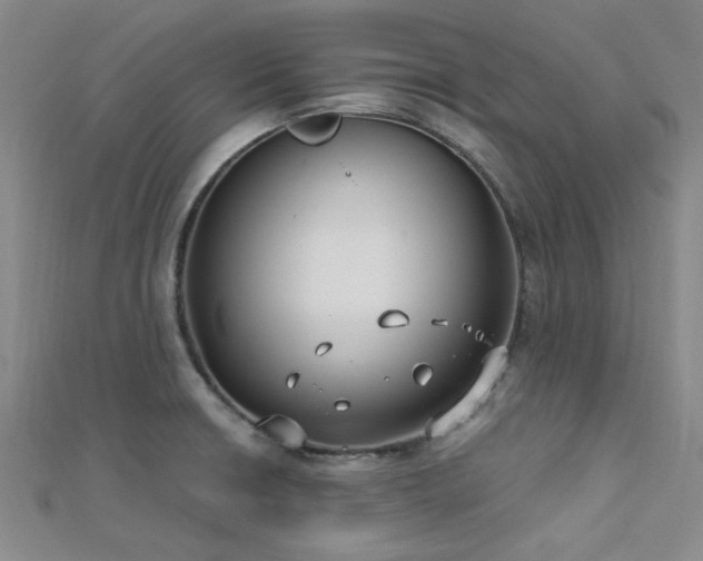 X0000112181426200908071317