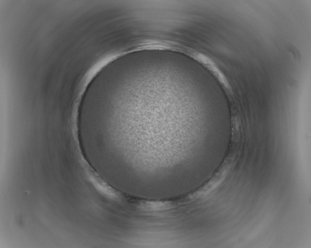 X0000112181427200908071317