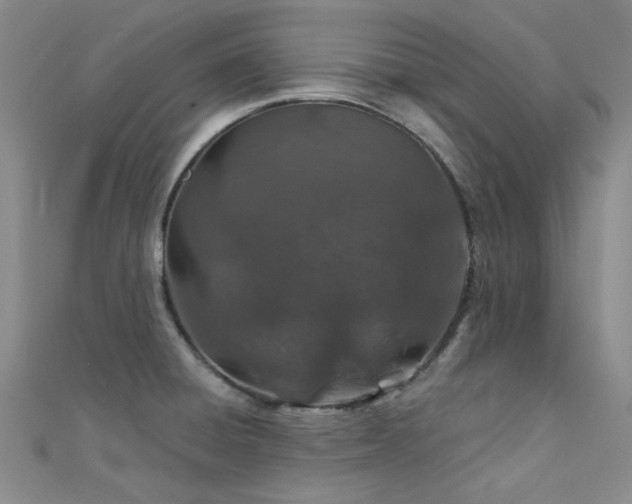 X0000112181428200908071317