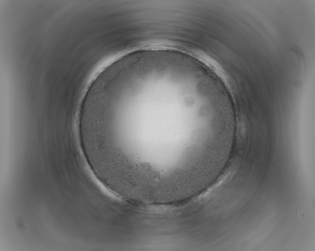 X0000112181429200908071317