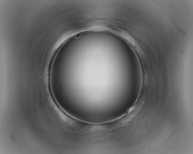 X0000112181430200908071317