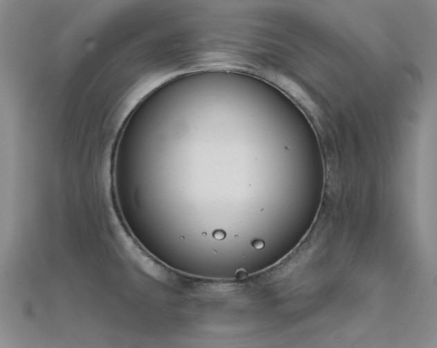 X0000112181431200908071317