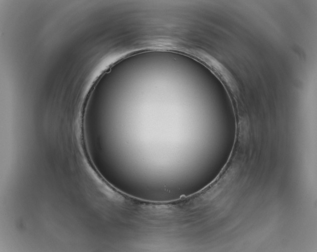 X0000112181432200908071317