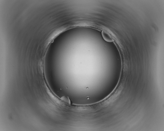 X0000112181433200908071317