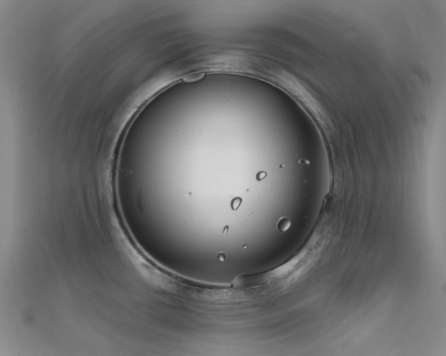 X0000112181434200908071317