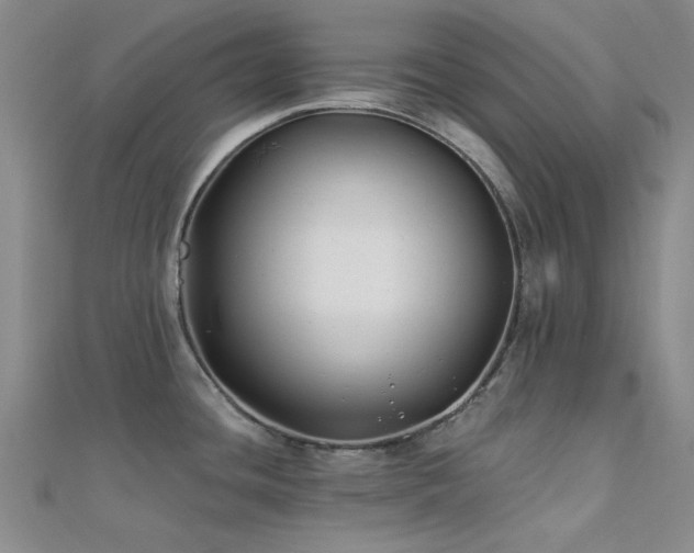 X0000112181436200908071317