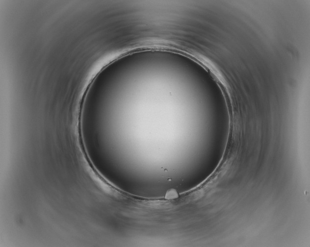 X0000112181437200908071317