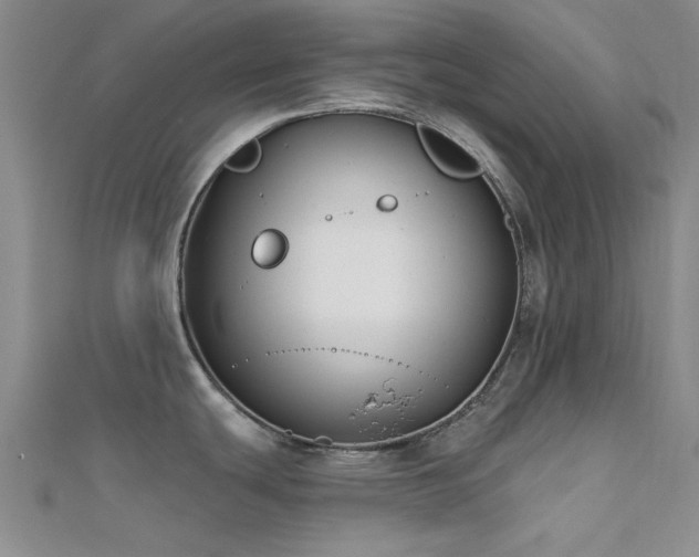 X0000112181439200908071317