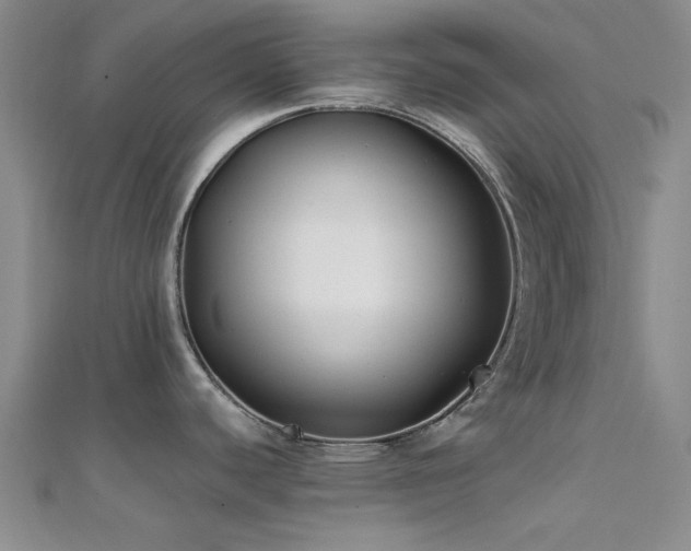 X0000112181440200908071317