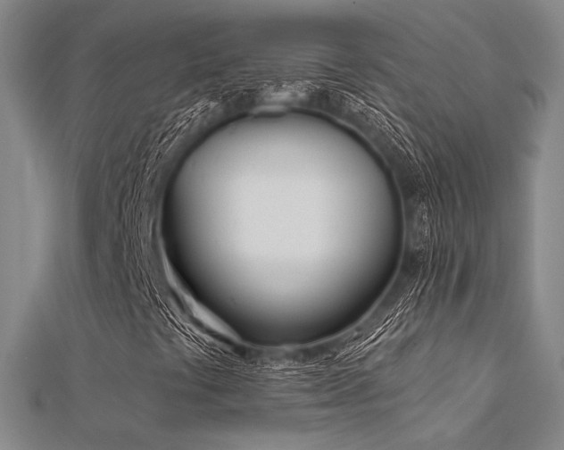 X0000112181441200908071316