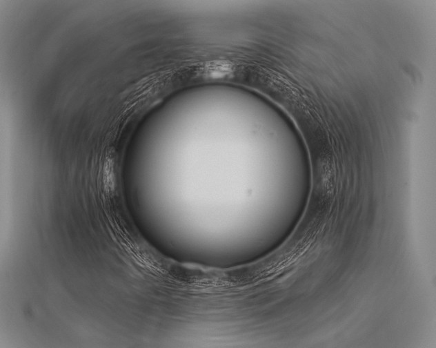 X0000112181442200908071316