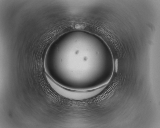 X0000112181443200908071316