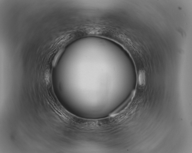 X0000112181444200908071316