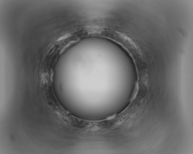 X0000112181445200908071316