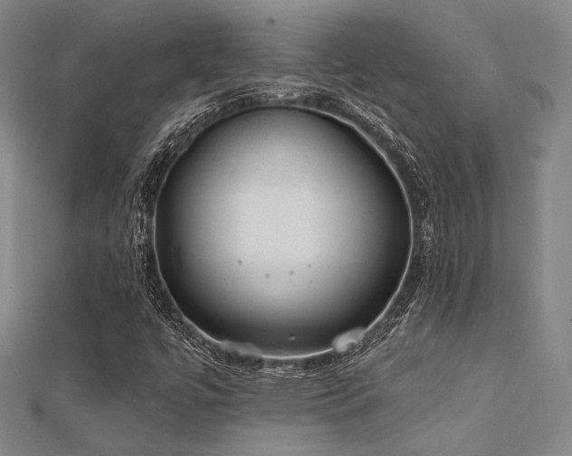 X0000112181447200908071316