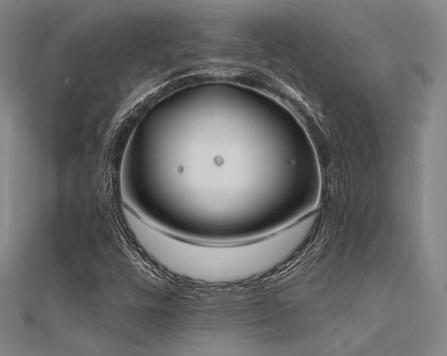 X0000112181448200908071316