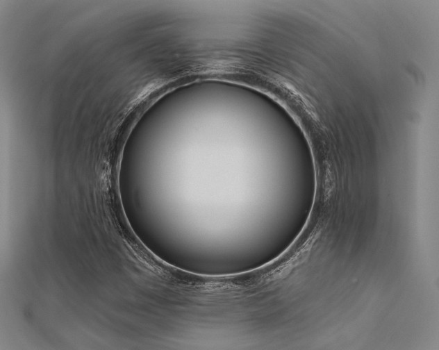 X0000112181449200908071316