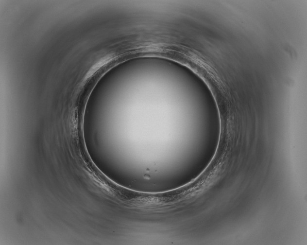 X0000112181450200908071316