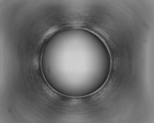 X0000112181451200908071316