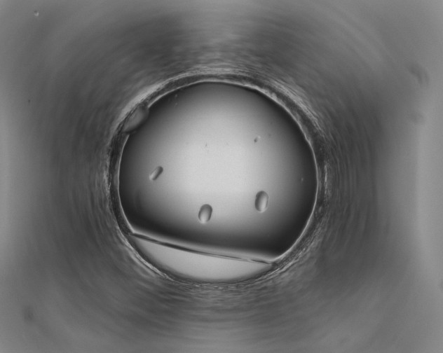 X0000112181452200908071316