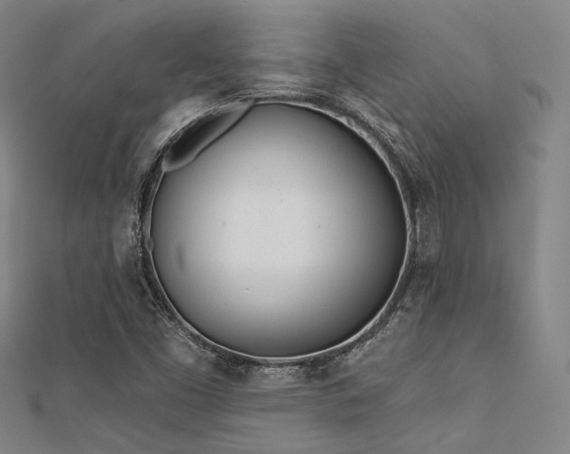 X0000112181453200908071316