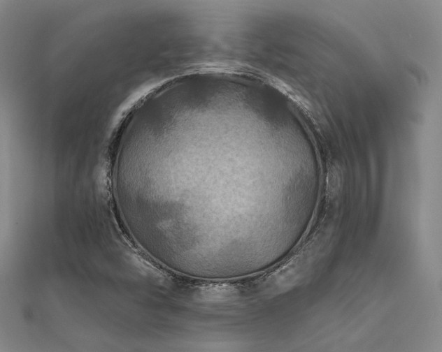 X0000112181454200908071316