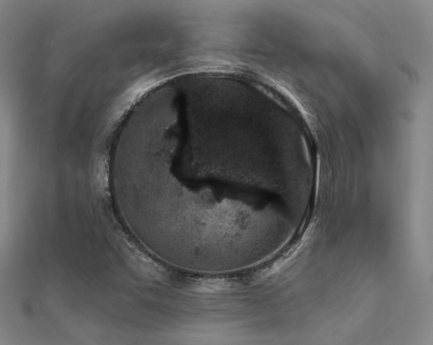 X0000112181455200908071316